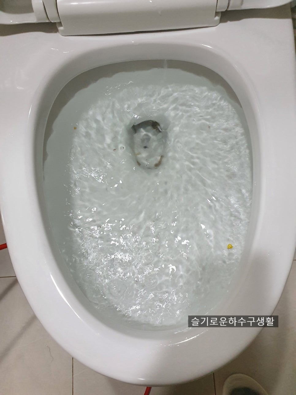 수원변기막힘 변기볼팬 빼내기 권선구 영통구 변기뚫음 대표 이미지