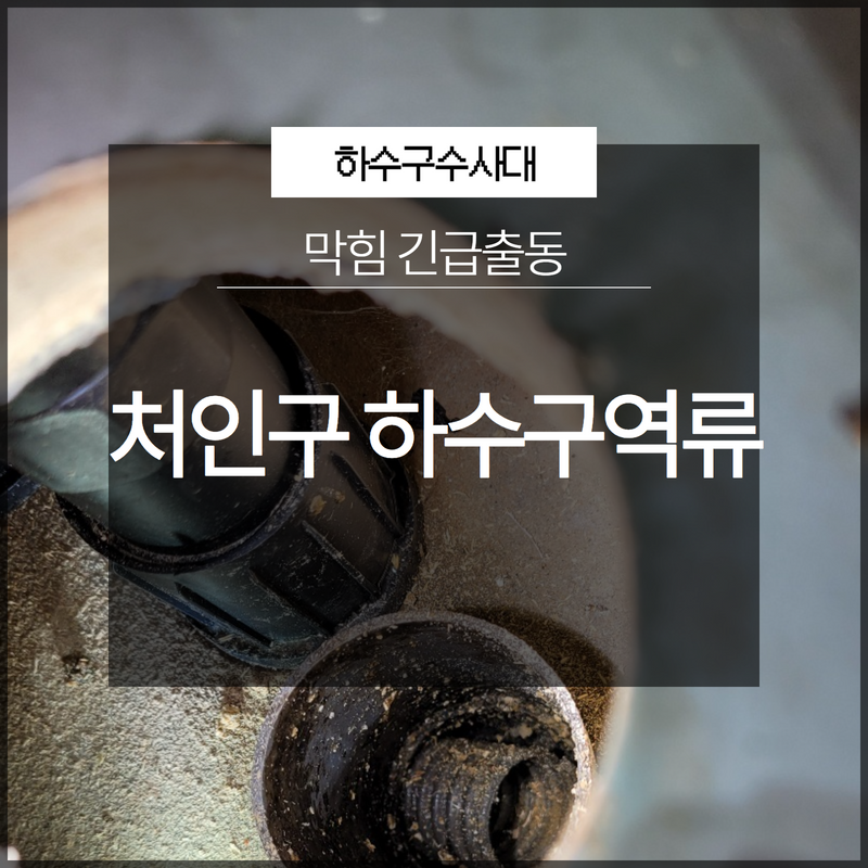 세교동 상가 화장실 바닥 역류 은계동 하수구 배관 고압세척 전문 업체 현장 상황
