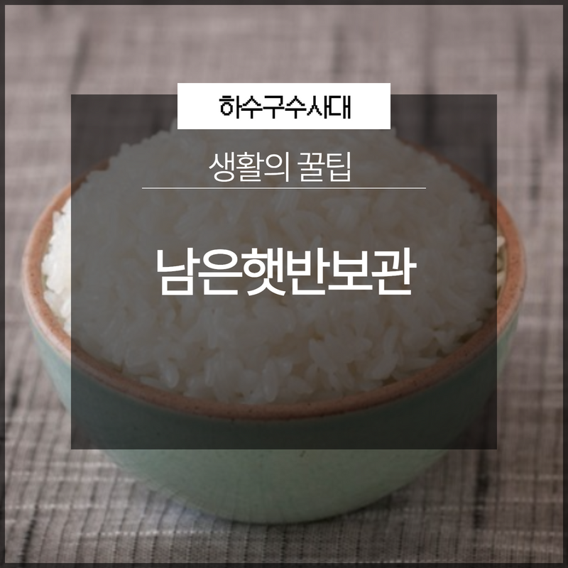 남은햇반보관 생활의 꿀팁 대표 이미지