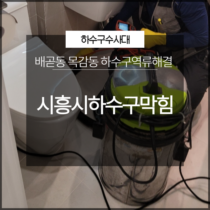 시흥시하수구막힘 배곧동 목감동 하수구역류해결 빠르게 대표 이미지