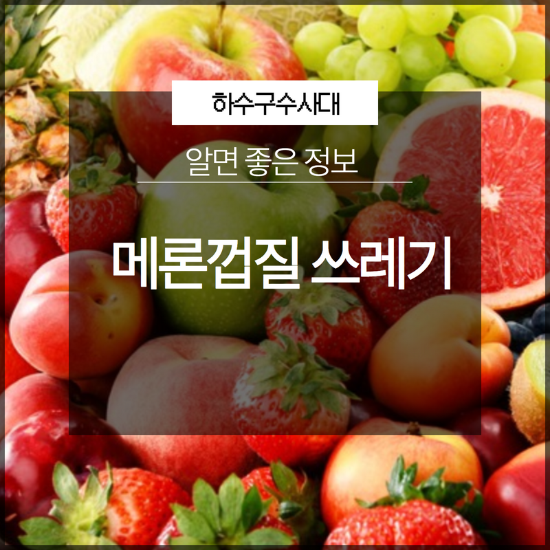 메론껍질 음식물 쓰레기 배출 방법 대표 이미지