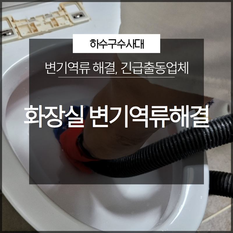 화장실 변기역류 해결전문 긴급출동업체 정확한 문제 해결! 대표 이미지