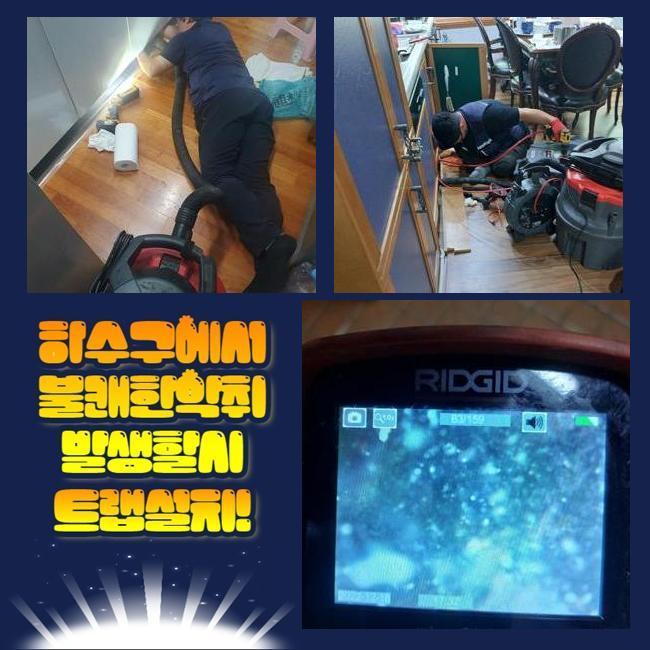 성남 수내동변기역류 대장동 악취차단 설비출장 대표 이미지