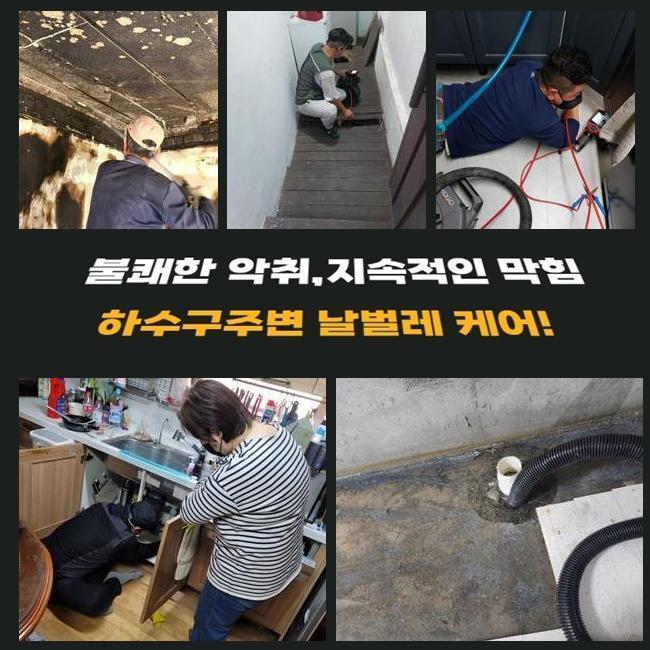 삼동하수도막힘 청계동 집수정청소 설비출장 대표 이미지