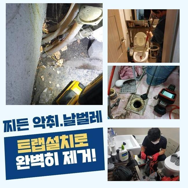 금천구 가산동대변기뚫음 시흥동 하수구뚫어주는업체 설비출장 대표 이미지
